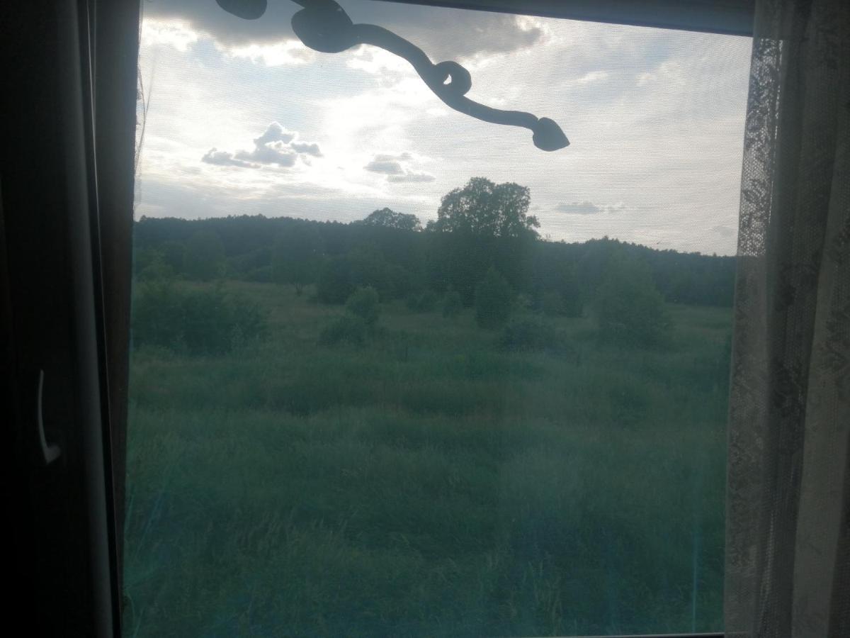 شقة Ostoja Białowieża المظهر الخارجي الصورة