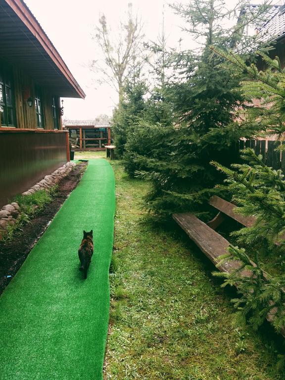 شقة Ostoja Białowieża المظهر الخارجي الصورة
